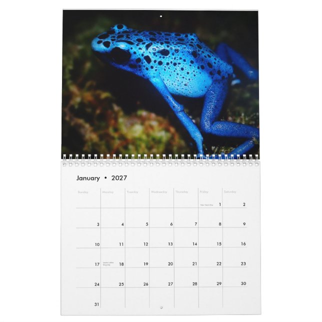 Jag älskar min utskrivavna kalender för grodor (Jan 2027)