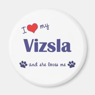 Jag älskar min Vizsla (den kvinnliga hunden) Magnet