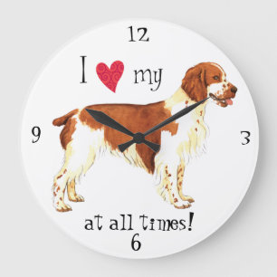 Jag älskar min walesiska SpringerSpaniel Stor Klocka