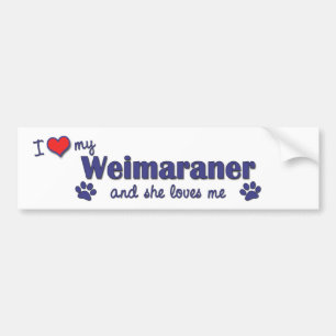 Jag älskar min Weimaraner (den kvinnliga hunden) Bildekal