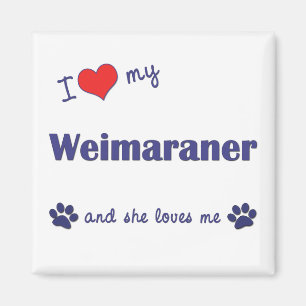 Jag älskar min Weimaraner (den kvinnliga hunden) Magnet