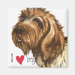 Jag älskar min Wirehaired peka Griffon Magnet