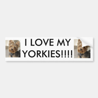 JAG ÄLSKAR MIN YORKIES!!!! BILDEKAL