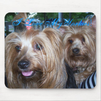 Jag älskar min Yorkies Musmatta