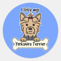 Jag älskar min Yorkshire Terrier