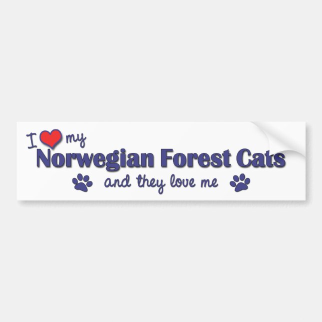 Jag älskar mina norska skogskatter (flera katter) bildekal (Framsidan)