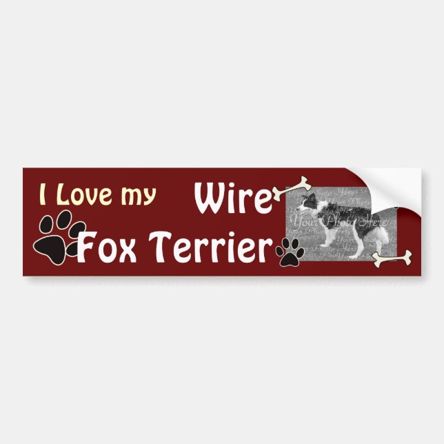 Jag älskar mitt binder foxterrierbildekalet bildekal (Framsidan)