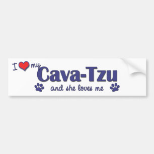 Jag älskar mitt cava-Tzu (den kvinnliga hunden) Bildekal