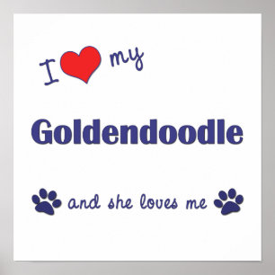 Jag älskar mitt Goldendoodle (kvinnlig hund) Poster