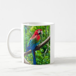 Jag älskar mitt gröna bevingada Macawfoto Kaffemugg