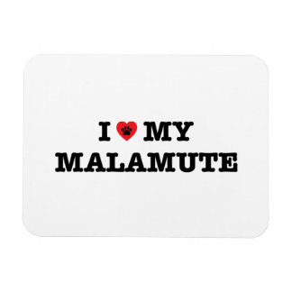 Jag älskar mitt malamute magnet