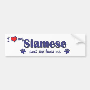 Jag älskar mitt Siamese (den kvinnliga katten) Bildekal