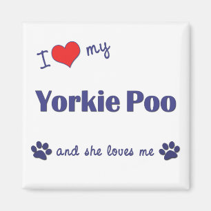 Jag älskar mitt Yorkie bajs (den kvinnliga hunden Magnet