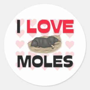 Jag älskar Moles Runt Klistermärke