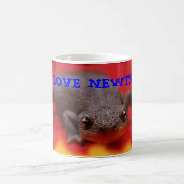 Jag älskar Newtsmuggar Kaffemugg (Center)