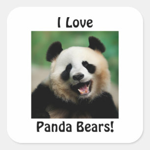 Jag älskar Panda Björnar Fyrkantigt Klistermärke