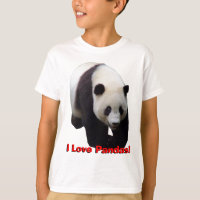 Jag älskar Pandas! Den jätte- pandaen lurar