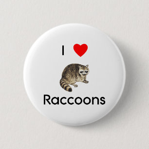 Jag älskar raccoons knäppas knapp
