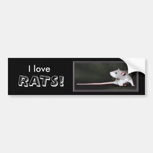 Jag älskar RÅTTOR! - rått-klistermärke Bildekal