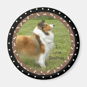 Jag älskar Sheltie hundar Magnet