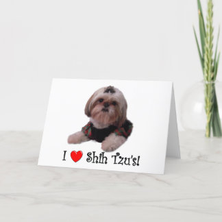 Jag älskar Shih Tzu Kort