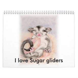 Jag älskar sockerglidflygplankalendern kalender