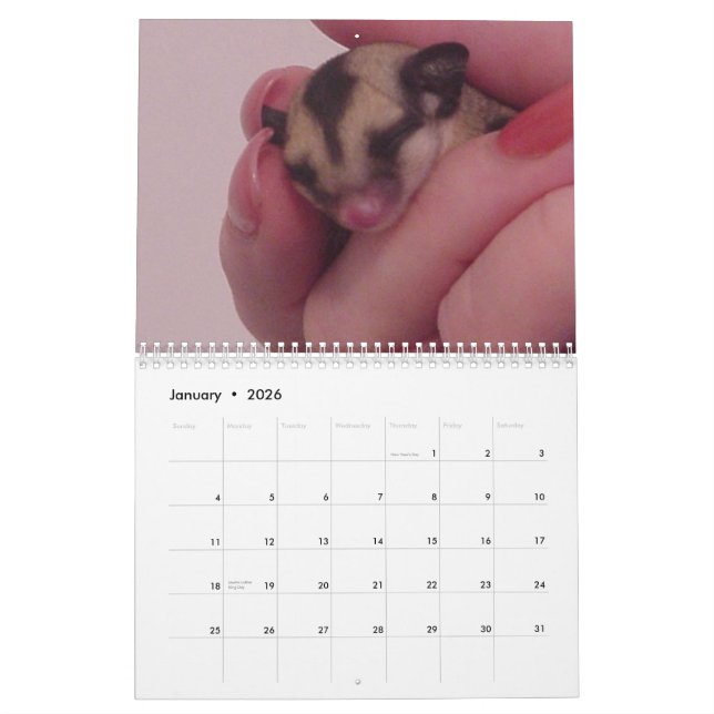 Jag älskar sockerglidflygplankalendern kalender (Jan 2026)