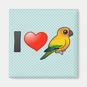Jag älskar solen Conures Magnet