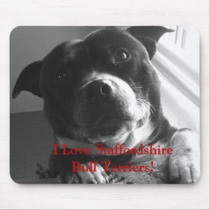 Jag älskar Staffordshire tjurTerriers! Musmatta