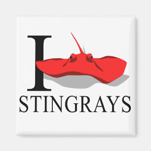 Jag älskar Stingraysmagneter Magnet