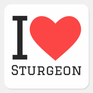 Jag älskar stör fyrkantigt klistermärke