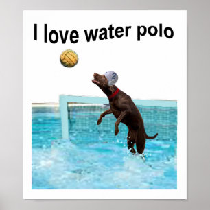 Jag älskar vattenpolo poster