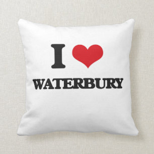 Jag älskar Waterbury Kudde
