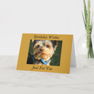 Jag älskar Yorkies Kort