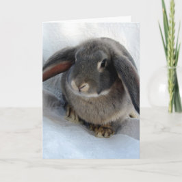 Jag är alla Öron för dig Kort