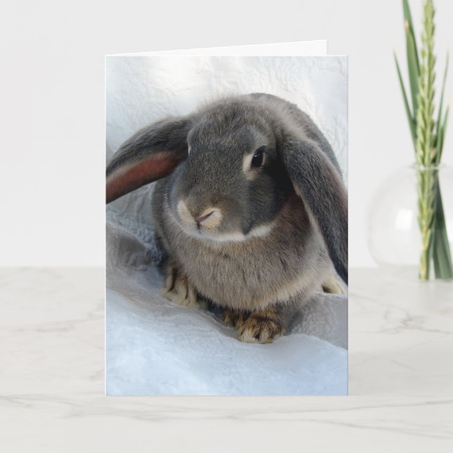 Jag är alla Öron för dig Kort (Framsida)