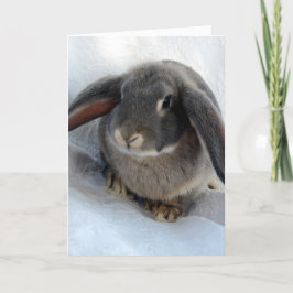 Jag är alla Öron för dig Kort