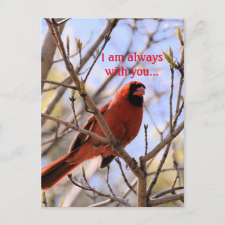 Jag är alltid med dig.. vykort