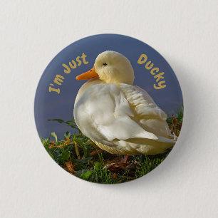 Jag är bara Ducky Knapp