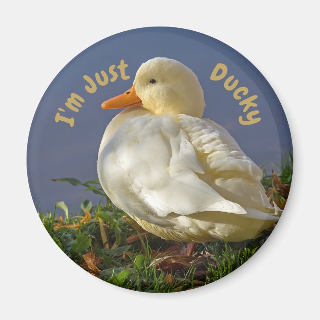 Jag är bara Ducky Magnet (Framsidan)