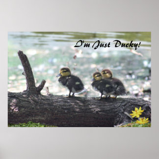 Jag är bara Ducky! Poster -36x24 -andra storlekar 