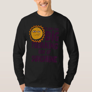 Jag är bara en stor friande Ray från Sunshine Sarc T Shirt