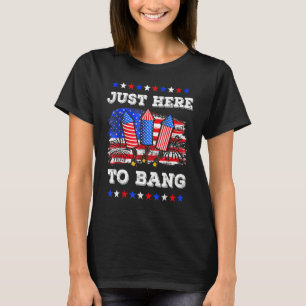 Jag är bara här för att bang Fireworks USA flagga T Shirt