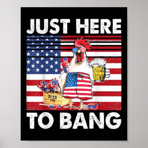 Jag är bara här för smällen Roligt fyrverkeri Humö Poster