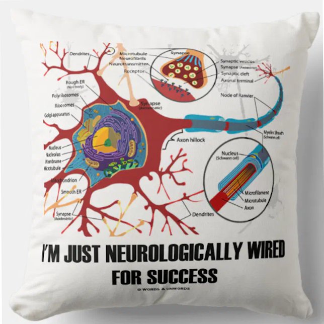 Jag är bara nervös för framgång (Neuron) Kudde (Throw pillow featuring neuron/synapse for anyone who is just neurologically wired for success!)