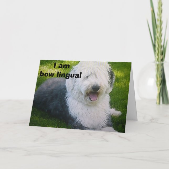 "JAG ÄR BOW LINGUAL" BIRTHDAY GREETINGS KORT (Framsida)