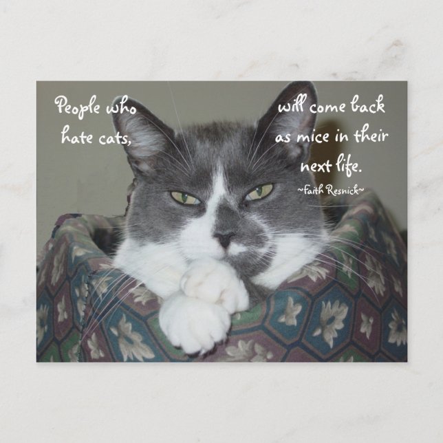 Jag är Cat... Vykort (Framsida)