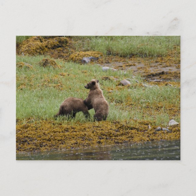 Jag är Chef Vykort (Framsida)