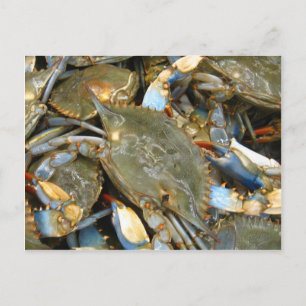 Jag är Crabby! Vykort