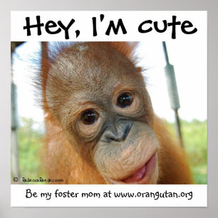 Jag är Cute Baby Orangutan Poster